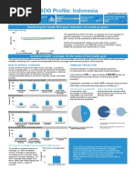 Indonesia 2017 CP SDGProfile WHO