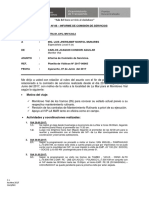 Informe Comision de Servicios Anexo 06