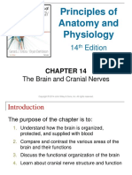 Ch14 Modified Brain