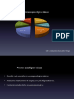 Procesos Psicolc3b3gicos Bc3a1sicos1