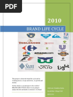 Brand Life Cycle