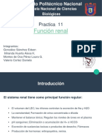 Seminario Renal