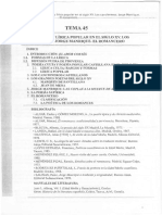 Tema 45 Oposiciones Lengua Castellana y Literatura