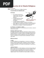 Información de La Mantis Religiosa