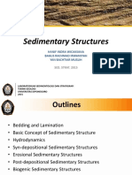 Sedimentary Structures