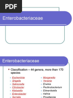 Me Enterobacteriaceae