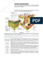 8 Sistema Tegumentario