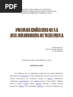 Pueblos Indígenas de Venezuela