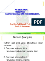 MatrikulasiBiokimiaPencernaan Makromolekul Dan Mikromolekul (FadilOenzil) 45