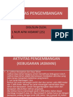 Aktifitas Pengembangan