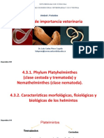 4.3. Helmintos de Importancia Veterinaria