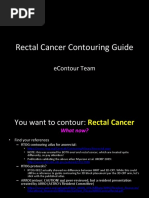 Rectal Cancer Contouring Guide: Econtour Team