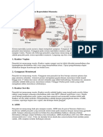 25 Penyakit Pada Sistem Reproduksi Manusia