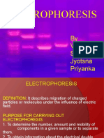 Electrophoresis: by Vasudha Saswati Jyotsna Priyanka