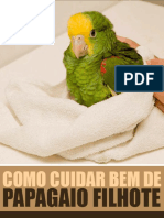 Como Cuidar Bem de Papagaio Filhote