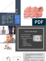 Sindromes Pleuropulmonares Semio