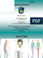 Referat Sindrom Radikular