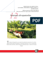 Sistemas Silvopastoriles PDF