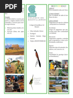 Triptico BIODIVERSIDAD