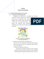 Pergelangan Kaki