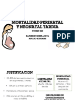 Protocolo Mortalidad Perinatal y Neonatal Tardia FINAL