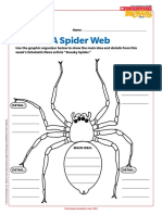 A Spider Web: Main Idea and Details