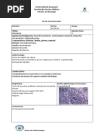 Ficha de Micología