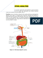 Stool Analysis: Digestive System