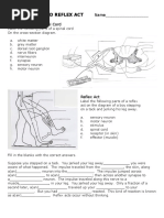 Form 4 Science Spinal Cord & Reflex Act Worksheet