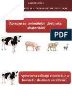 LP 1 - Aprecierea Animalelor Destinate Abatorizării