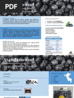 FICHA ARANDANOS Final PDF