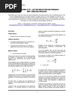 Informe de Laboratorio Ley de Induccion