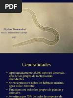 Phylum Nematoda