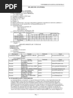 Anatomia Humana 2018