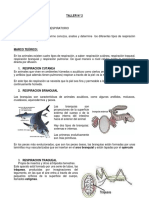 Tipos de Sistema Respiratorio