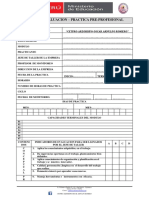 Ficha de Practicas Pre-Profecionales Cetpro