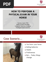 How 20to 20perform 20a 20physical 20exam 20in 20your 20horse