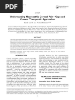 Understanding Neuropathic Corneal Pain PDF