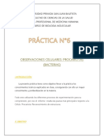 Practica N 6 Observaciones Celulares Procariotas Bacterias