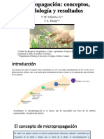 Micropropagacion #1