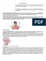 Sistema Respiratorio