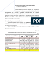 Analiza Economico-Financiara Boromir