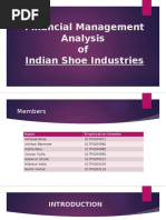 Financial Management II Project