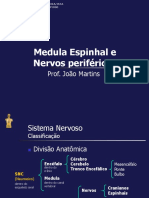 Aula Medula Espinhal Alterada