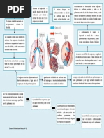 Intercambio de Gases Pulmonar