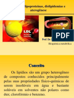 033 - BM Aula 7 Lipideos 2011 PDF