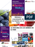 Miguel Cordano Historia Crecimiento Berries