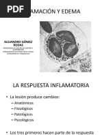 Inflamacion y Edema