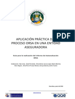 Guía Informe de Autoevaluación ORSA