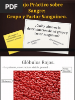 Trabajo Práctico Sobre Sangre, Presentación.